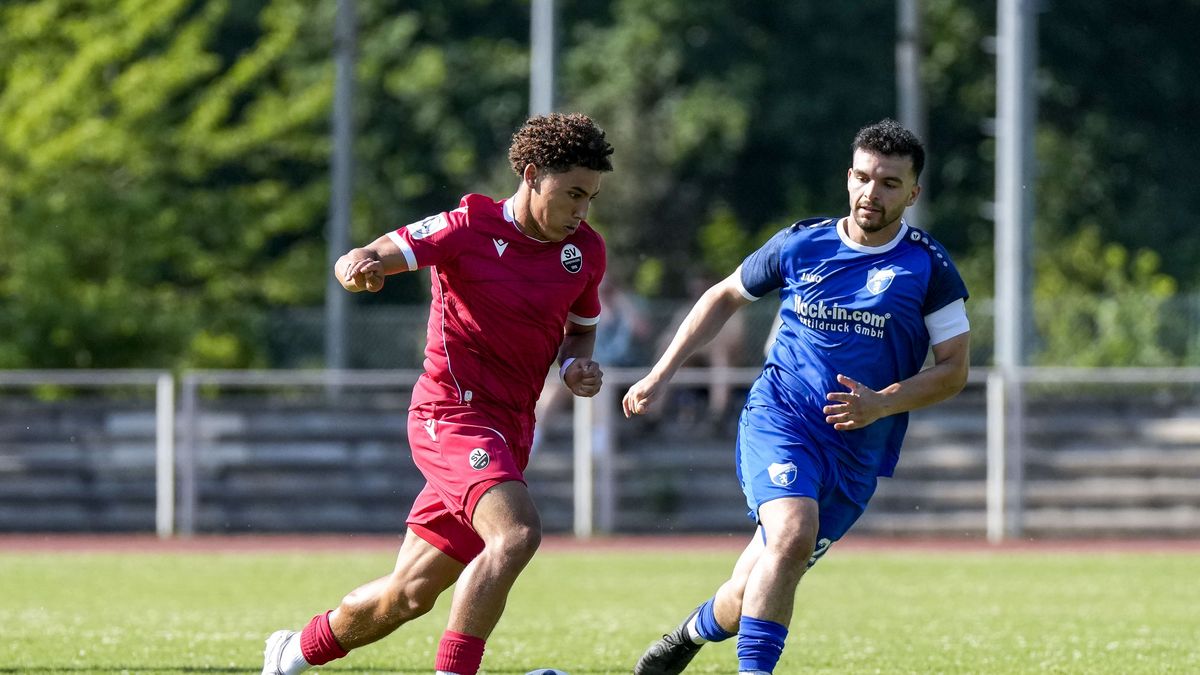 SV Sandhausen Official Social Media, News, and Digital Channels