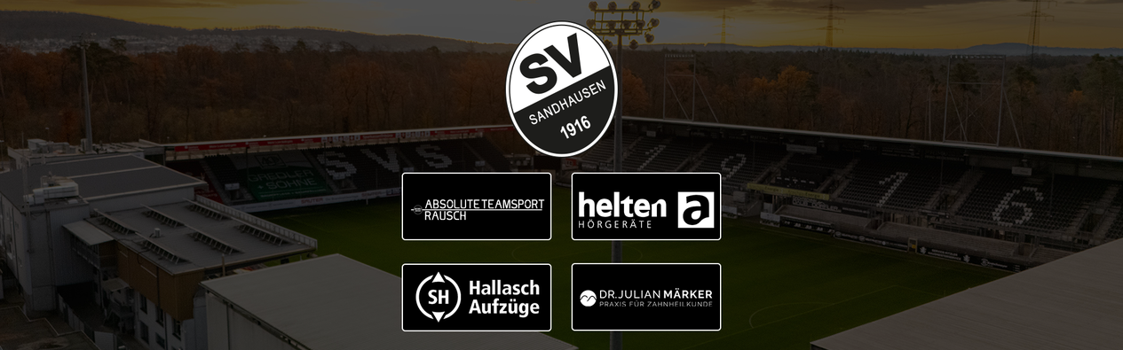Grafische Darstellung der vier Partnerlogos sowie des SVS-Logos