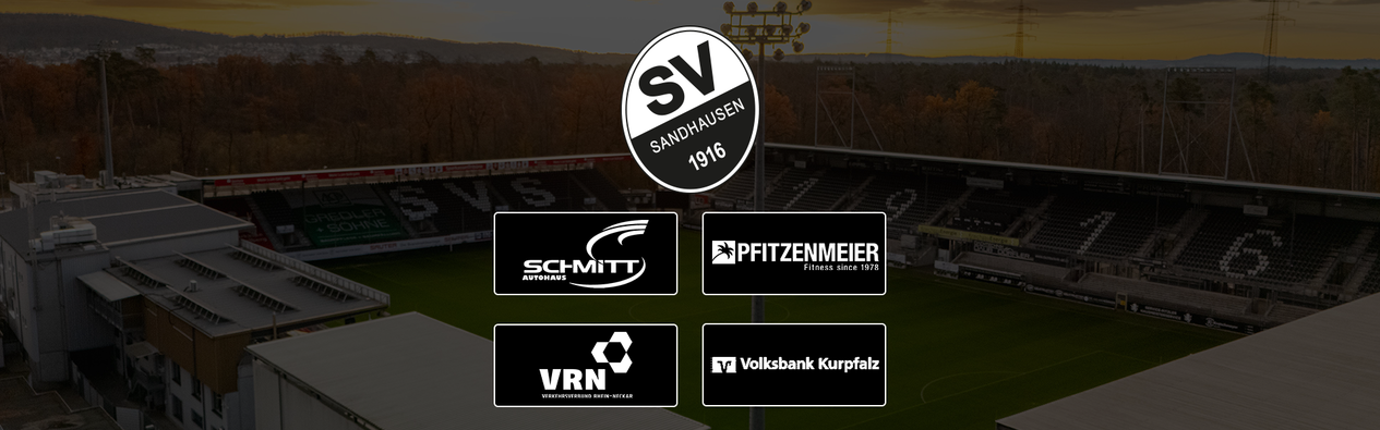 Grafische Darstellung der vier Partnerlogos sowie des SVS-Logos