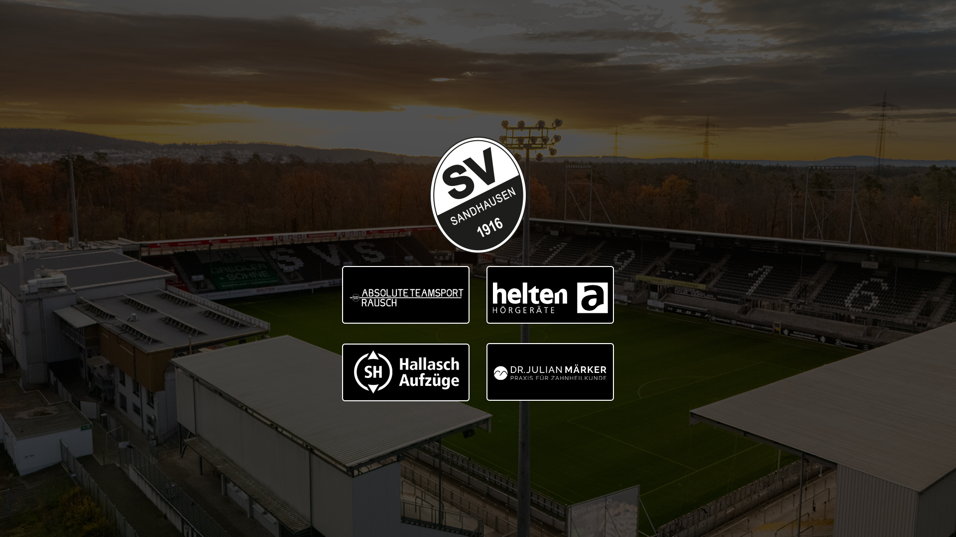 Grafische Darstellung der vier Partnerlogos sowie des SVS-Logos