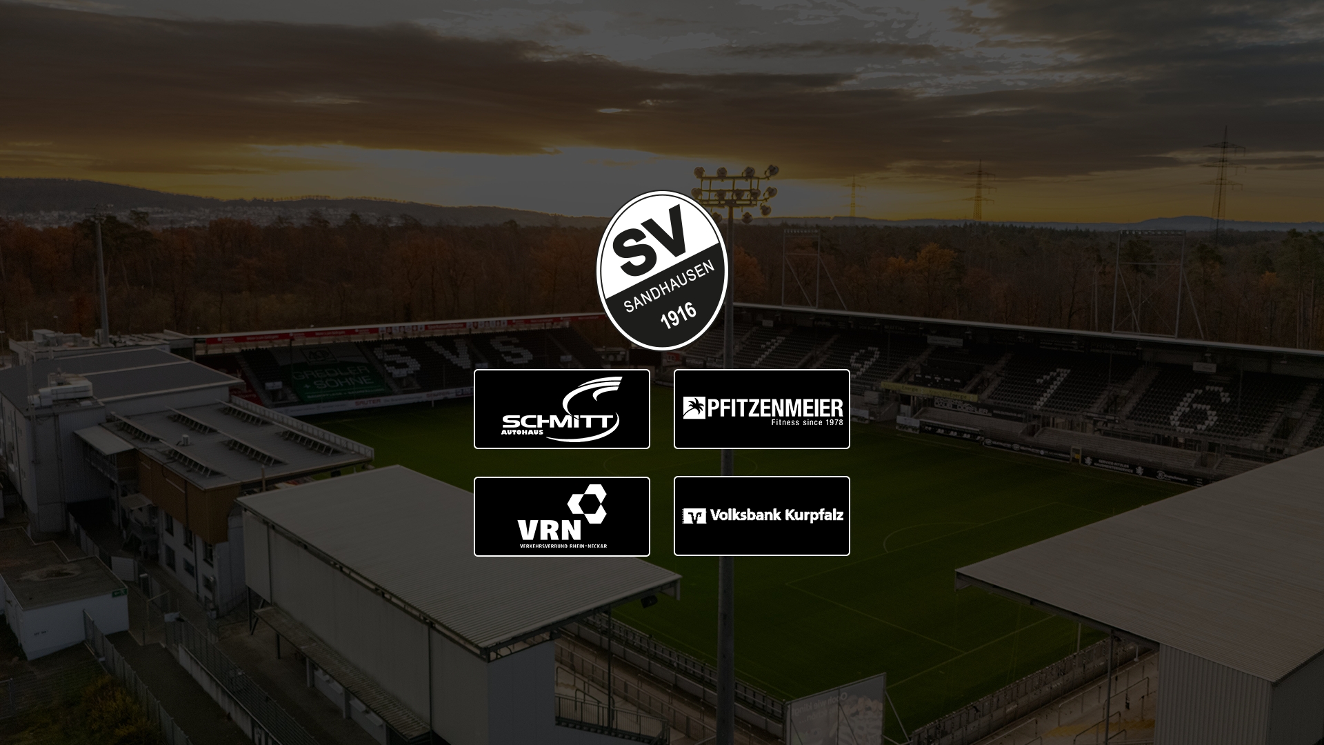 Grafische Darstellung der vier Partnerlogos sowie des SVS-Logos